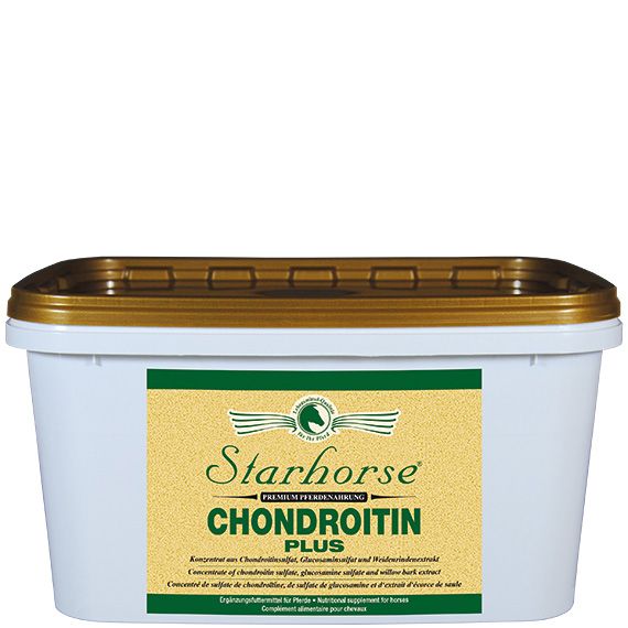Chondroitin Plus groß